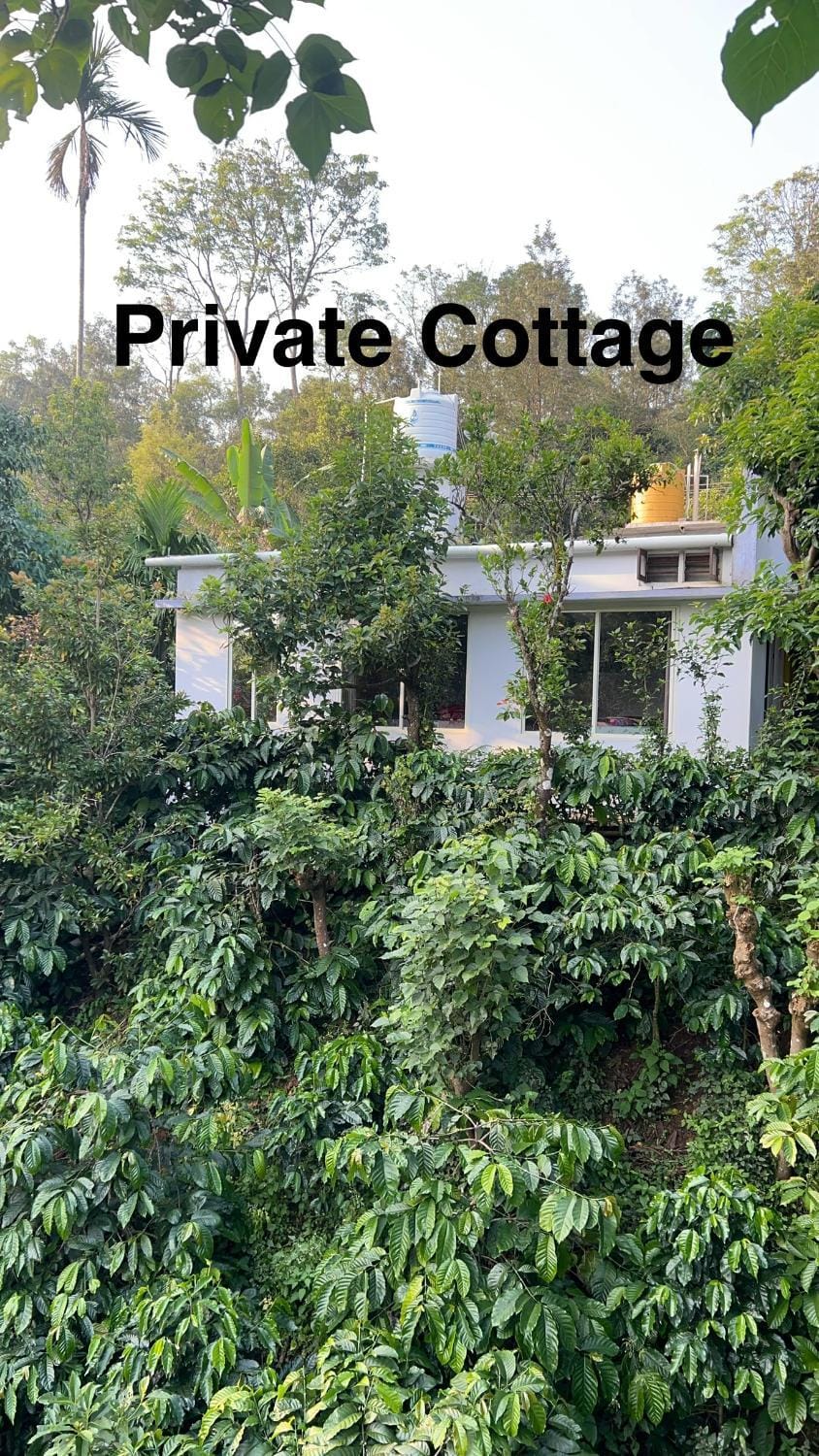 Property building, Natural landscape, Garden view