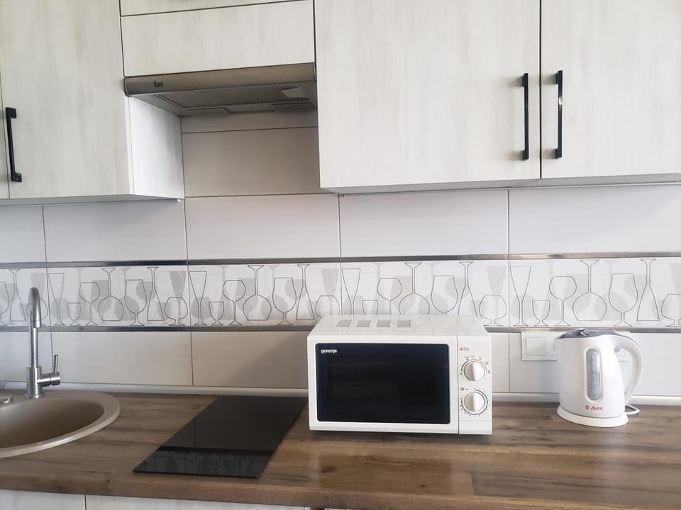 Apart Ugorska Apartment in Lviv