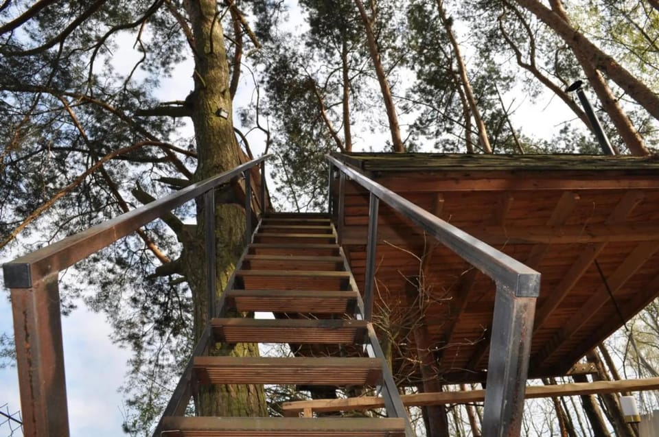 Domek na Drzewie Nature lodge in Masovian Voivodeship