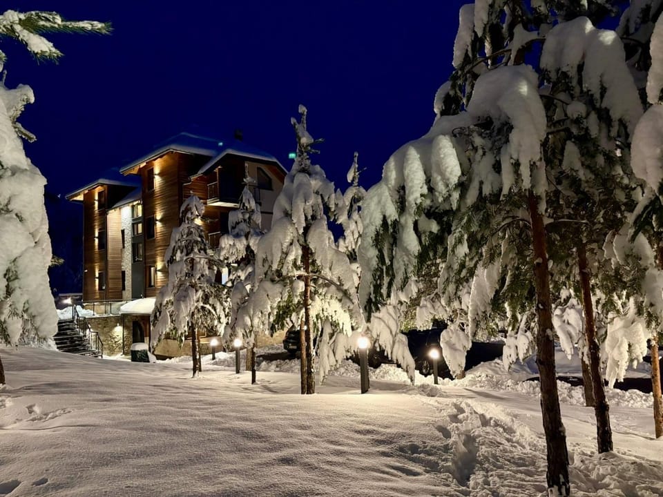 Property building, Night, Natural landscape