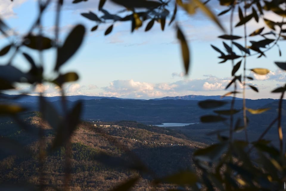 Lake view