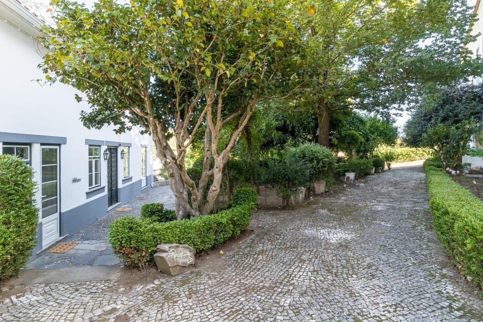 Patio, Facade/entrance, Garden