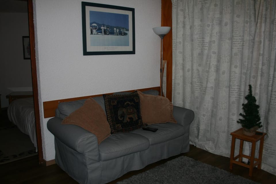 Ski in and Out 2-Bed Apartment in Meribel Apartment in Les Allues