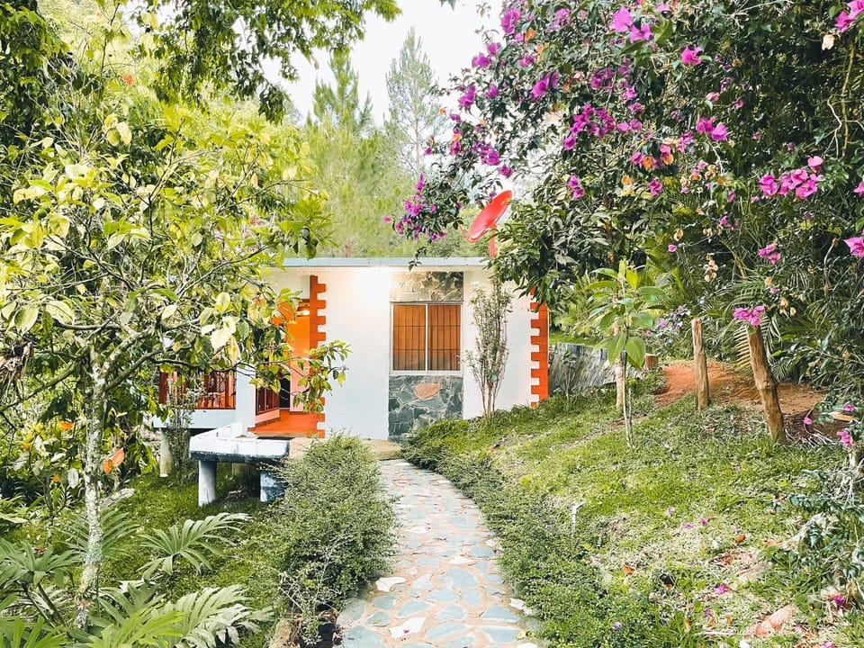 Patio, Garden, Garden view
