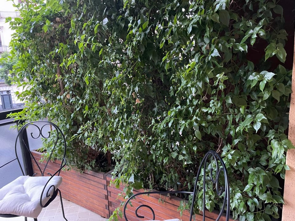 Balcony/Terrace, Balcony/Terrace