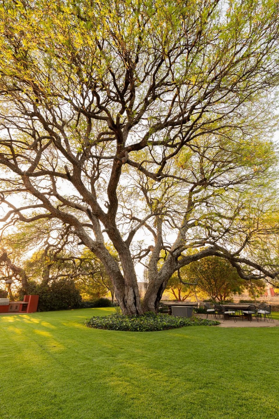 Off site, Natural landscape, Garden, Garden view