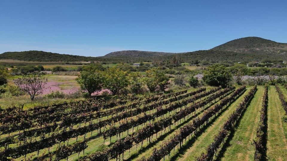 Spring, Off site, Day, Natural landscape, Garden, Mountain view
