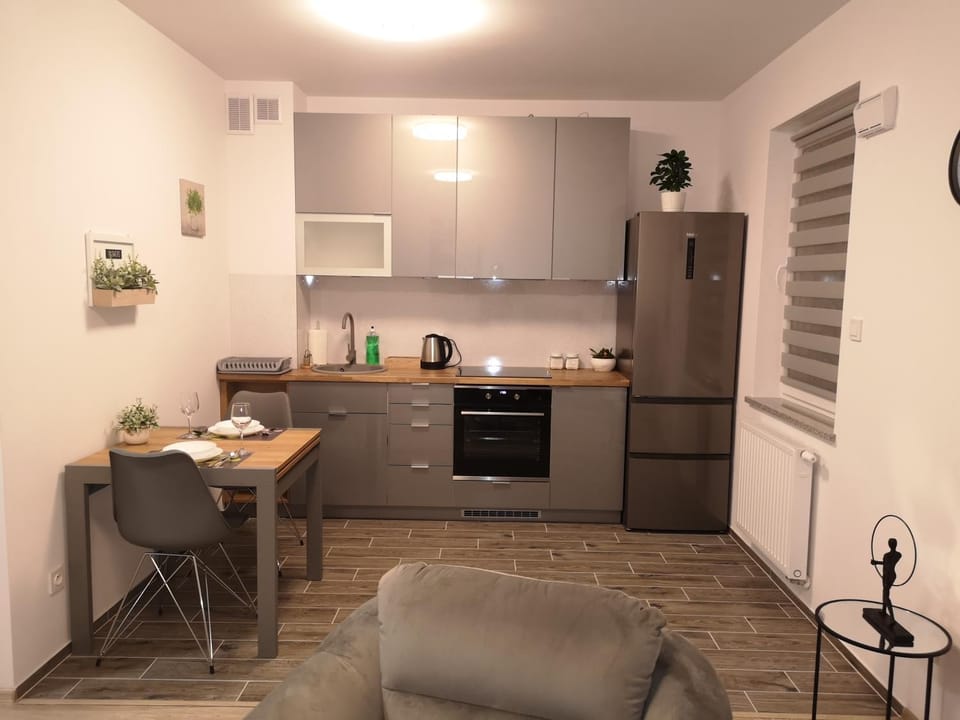 Apartament Marzenie 2 - Opole Apartment in Czechia
