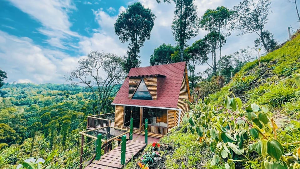 Property building, Spring, Natural landscape