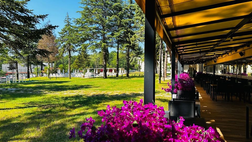 Garden view