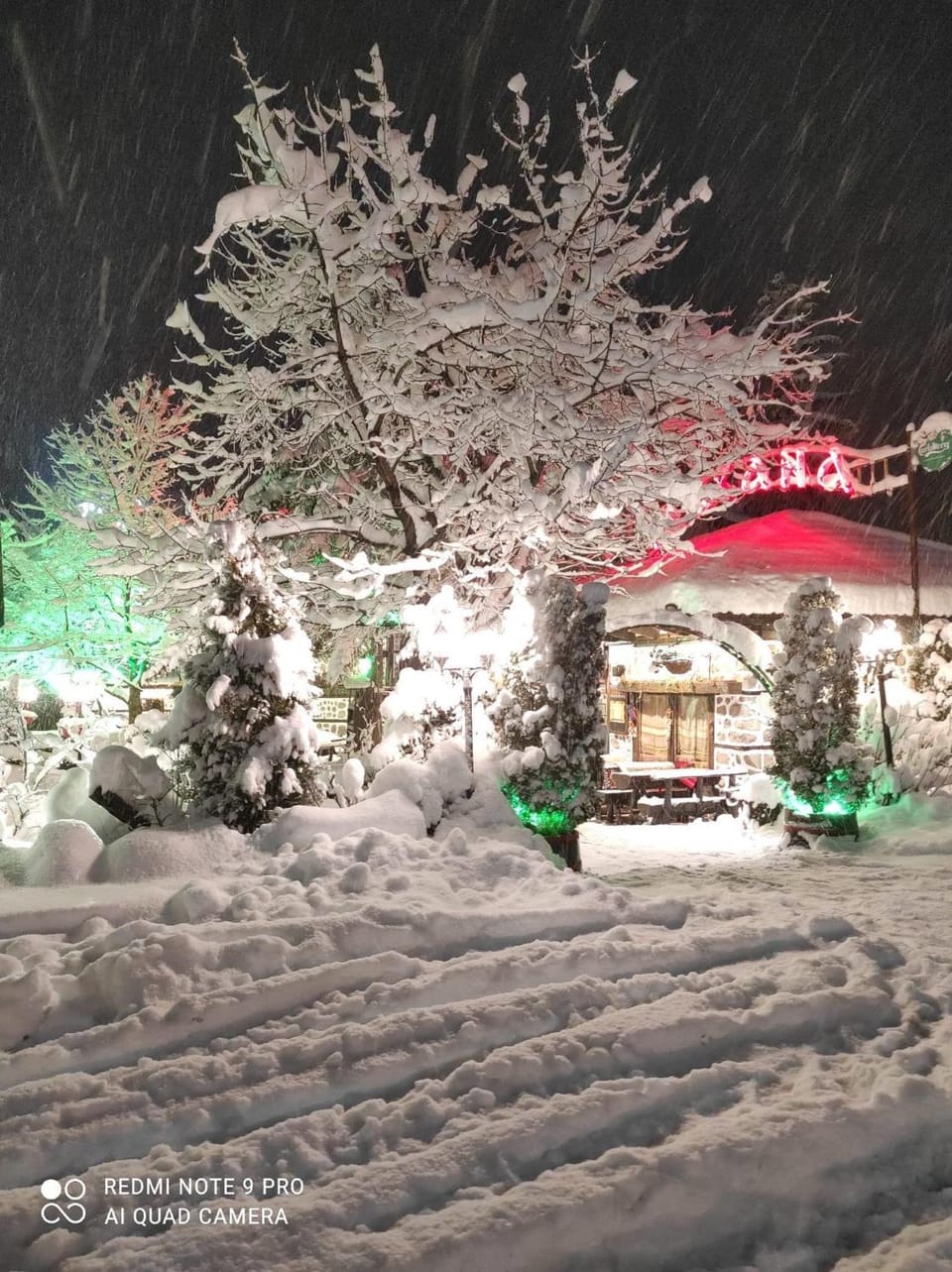 Luxury private studio in Paradiso Verde Apartment in Blagoevgrad Province