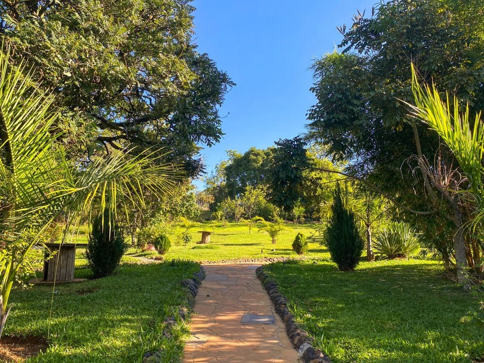 Spring, Day, Natural landscape, Garden view