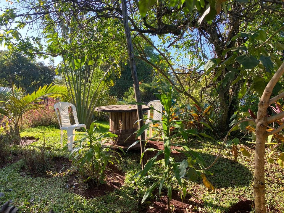 Spring, Day, Natural landscape, Garden, Garden view