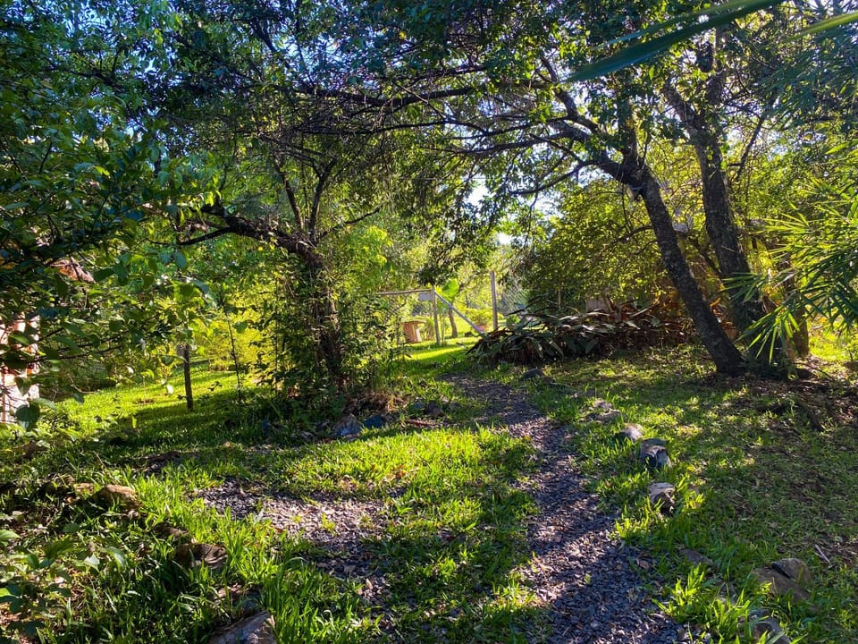 Garden, Garden view