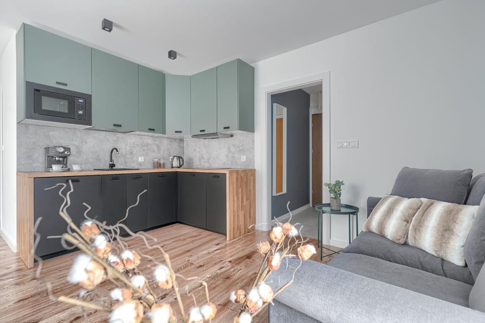 Kitchen or kitchenette, Living room