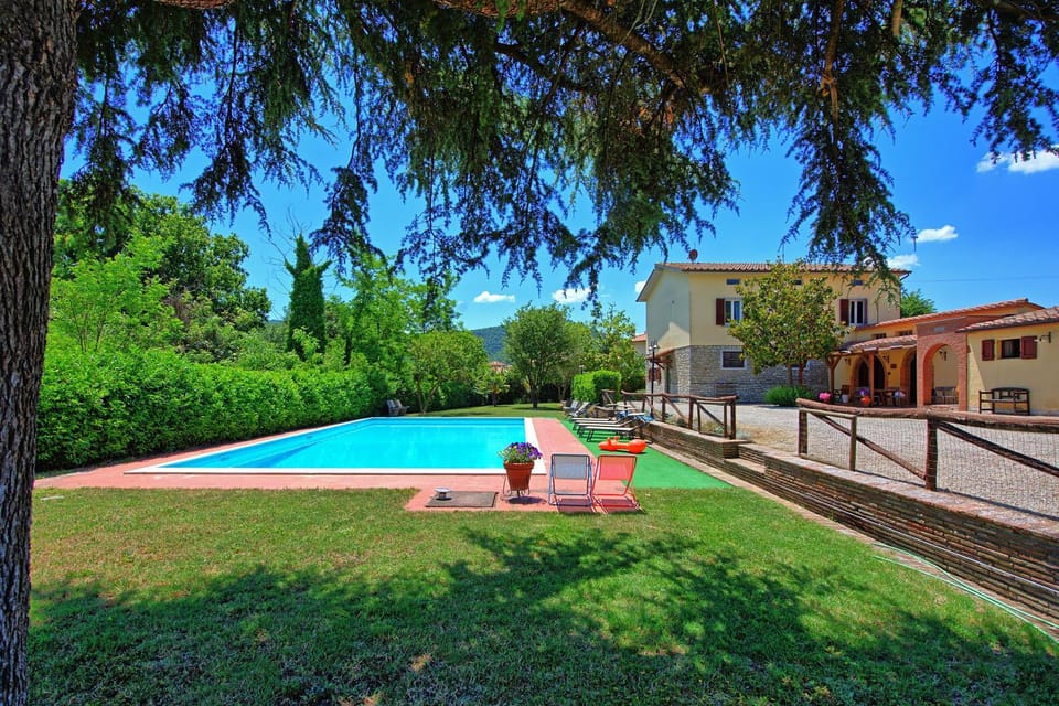 Garden, Swimming pool