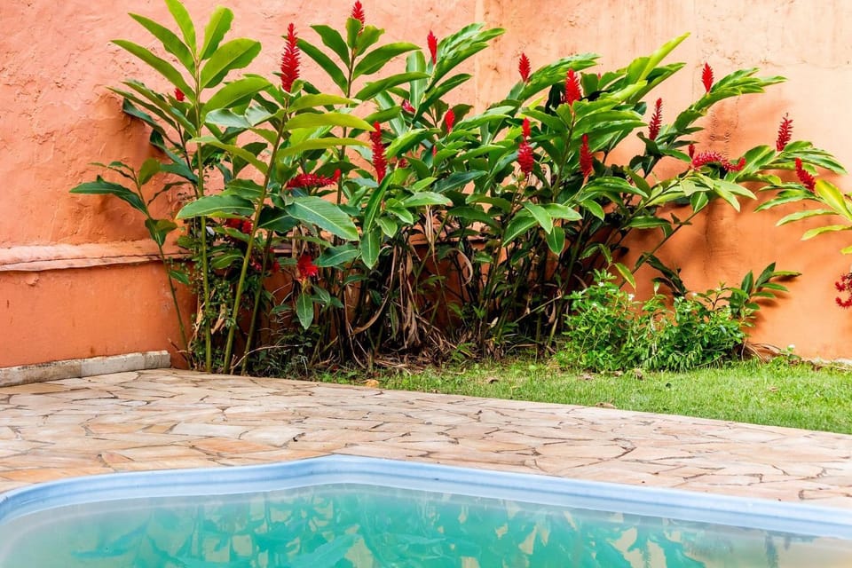 Garden, Swimming pool