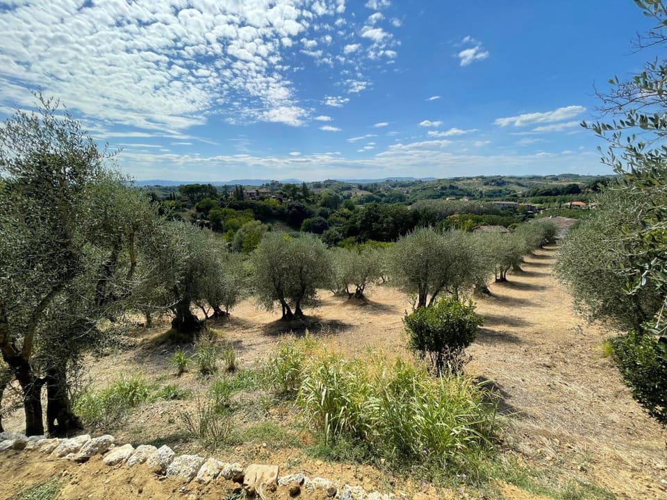 Garden, Garden view