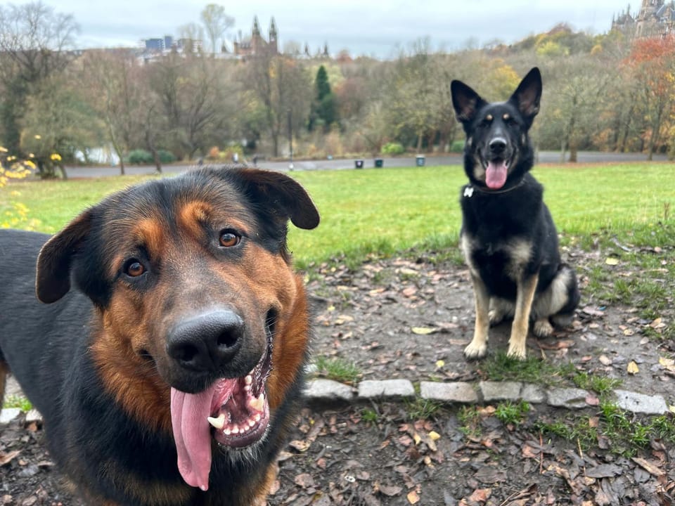 Large cosy room in G3 Vacation rental in Glasgow