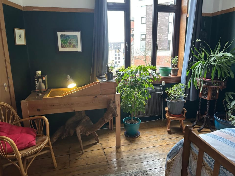 Large cosy room in G3 Vacation rental in Glasgow