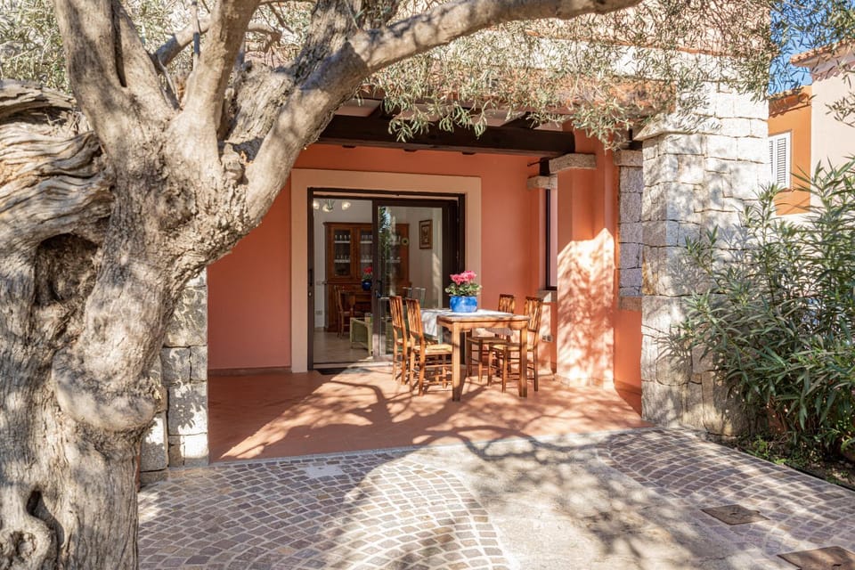Patio, Garden
