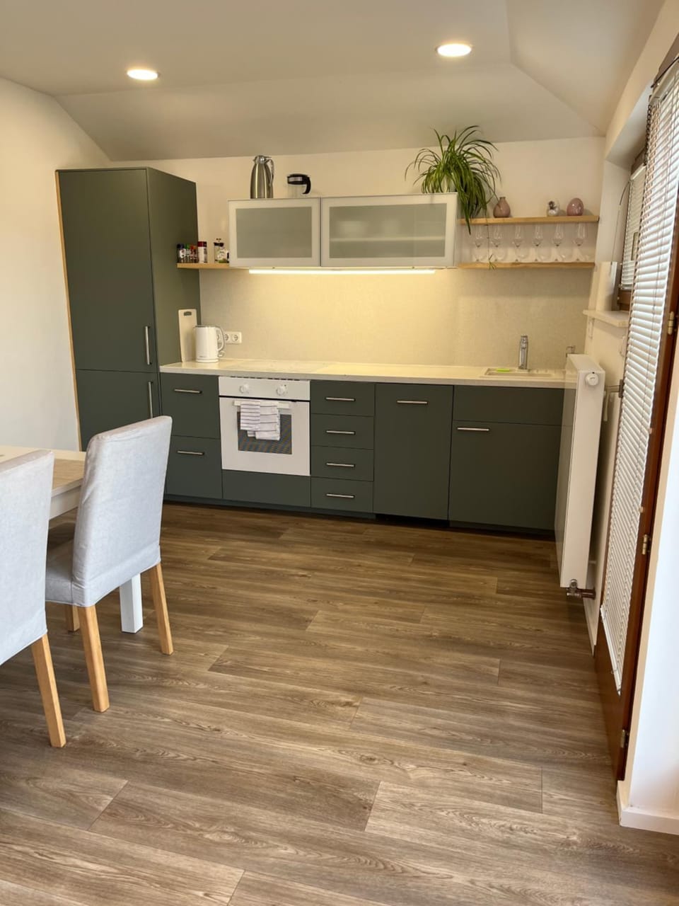 Kitchen or kitchenette, minibar, pet friendly, stove