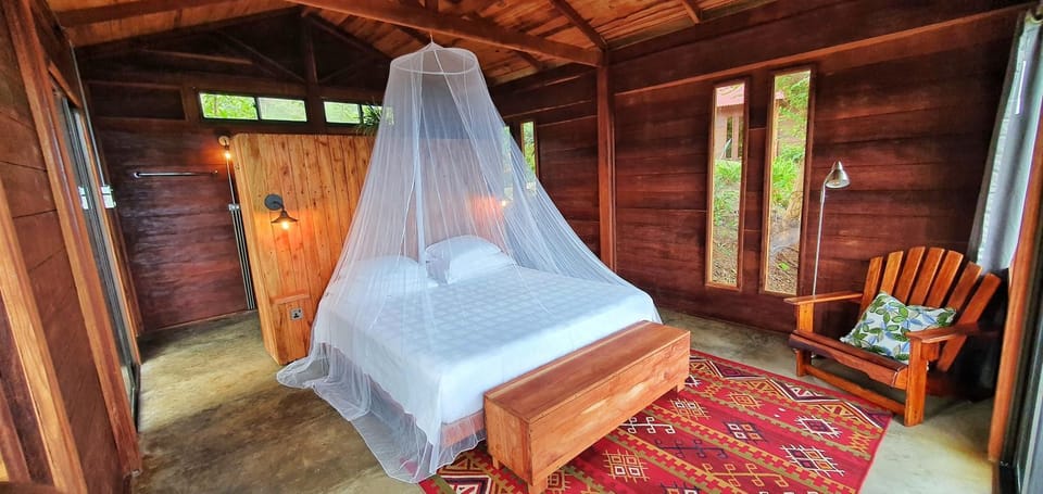 Bed, Seating area, Bedroom