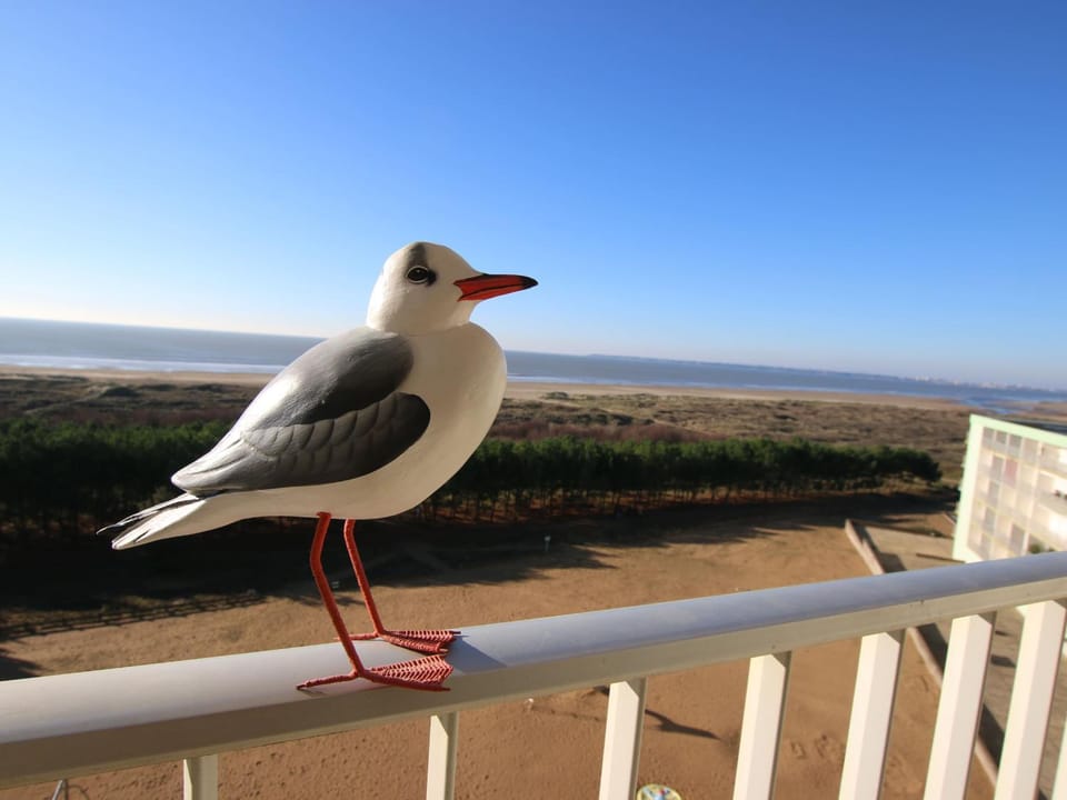 Charmant T2 rénové avec balcon et parking, accès direct plage - Saint Brevin - FR-1-364-115 Apartment in Pays de la Loire