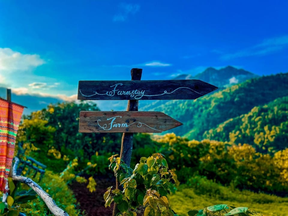 Mountain view