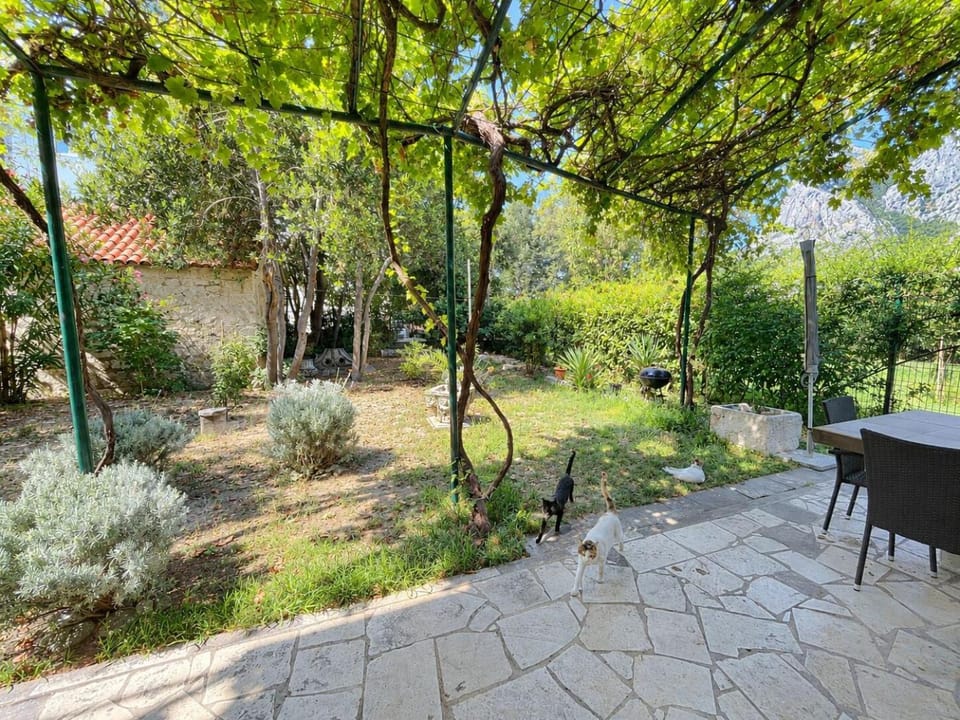 Patio, Garden, Balcony/Terrace