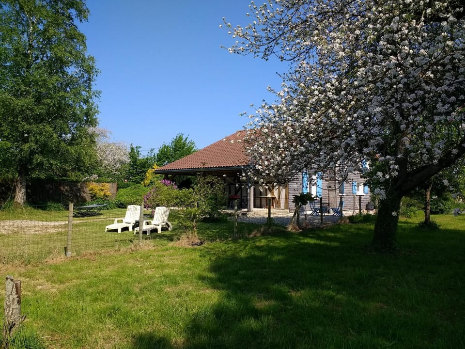 Property building, Garden, sunbed