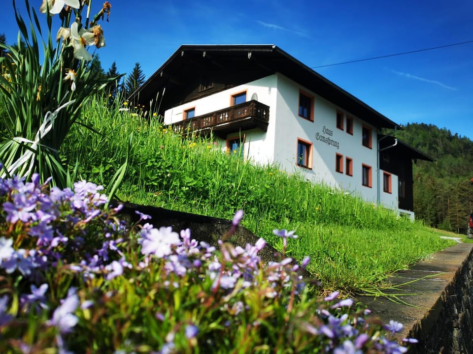 Property building, Spring, Day, Natural landscape