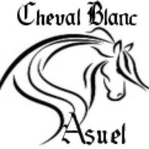 Au Cheval Blanc Bed and Breakfast in Switzerland