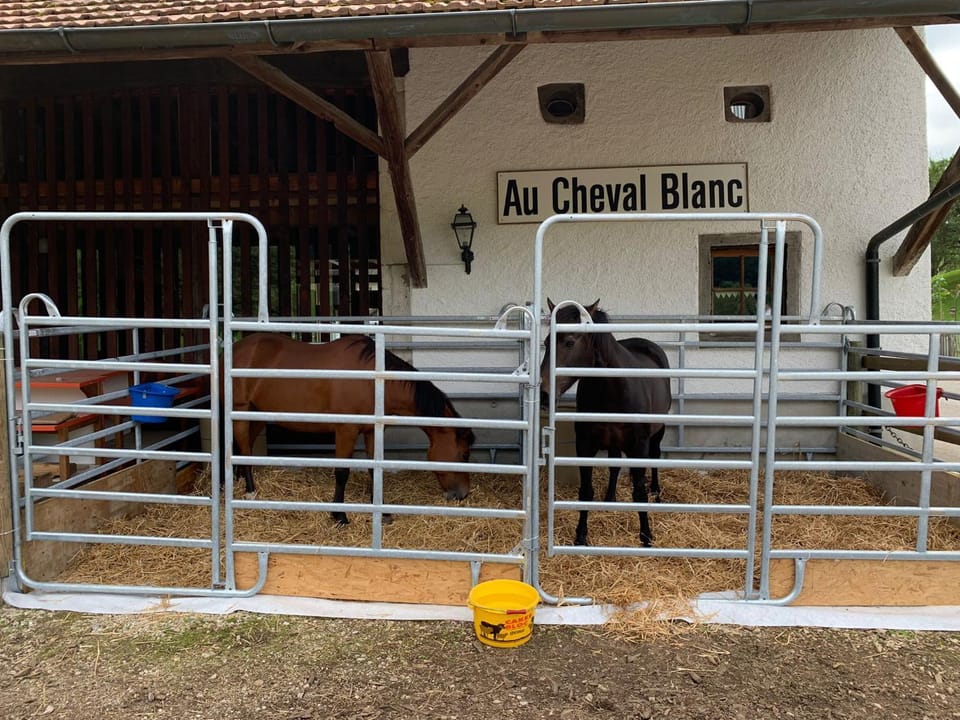 Au Cheval Blanc Bed and Breakfast in Switzerland