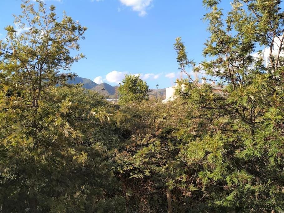 Natural landscape