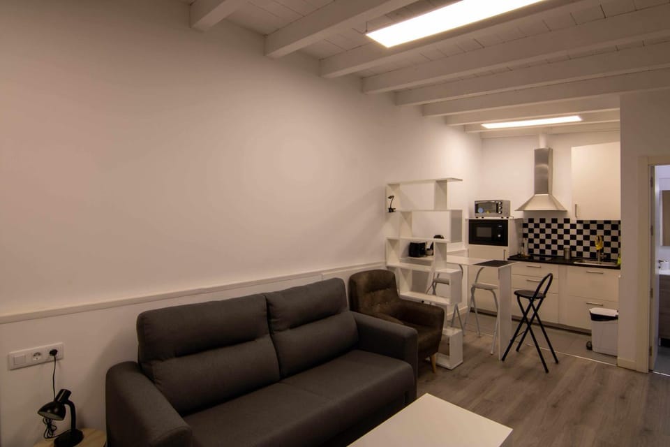 LOFT ROMA Apartment in León
