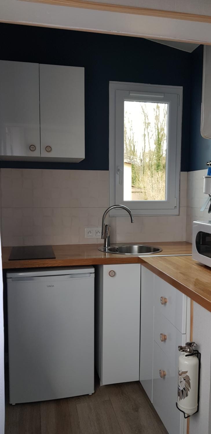 Kitchen or kitchenette, minibar, stove