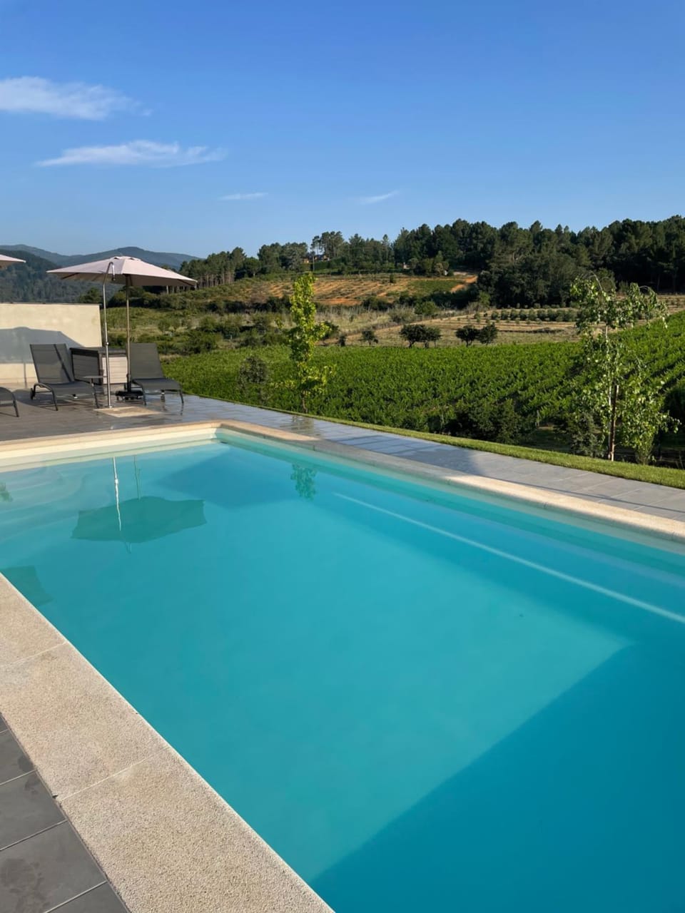 Pool view, Swimming pool, Swimming pool, Sports