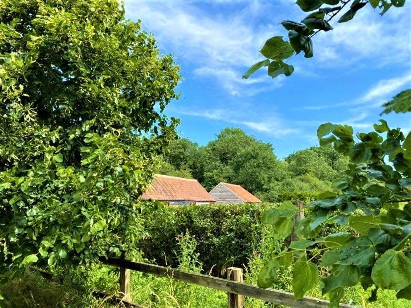 Property building, Hiking, Garden view