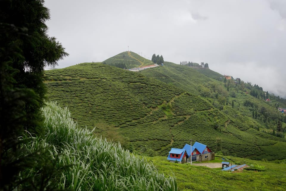 Natural landscape