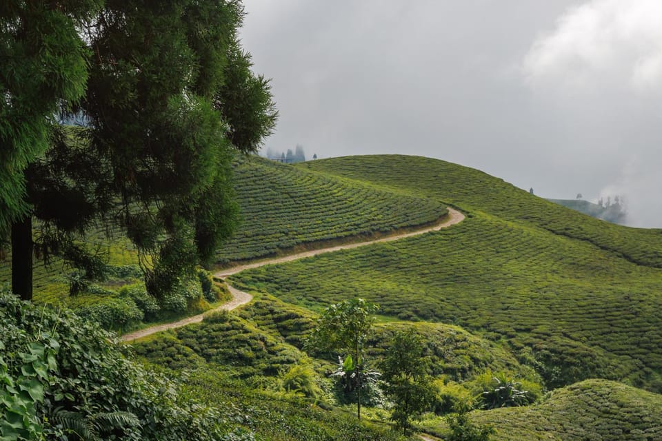 Natural landscape