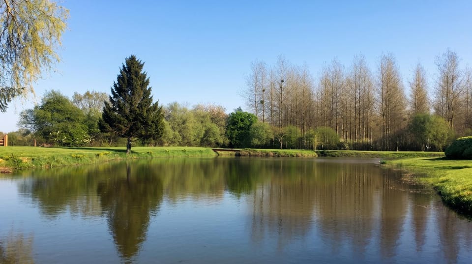 Lake view