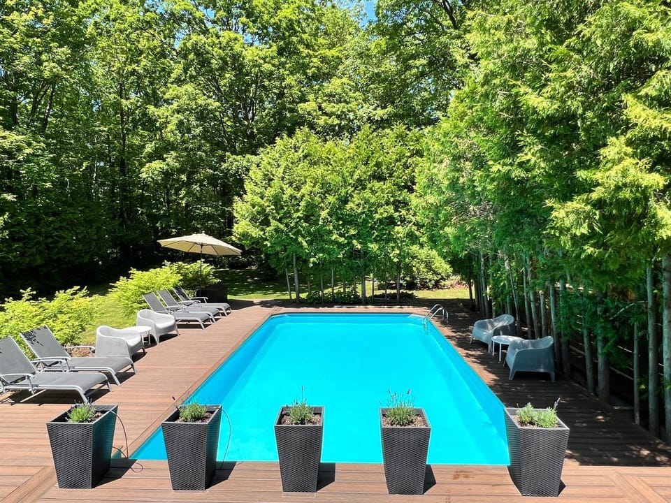 Patio, Garden, Swimming pool, sunbed