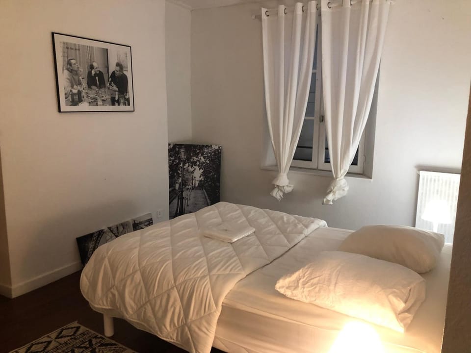 Hugo 2G et sa pizza offerte Apartment in Aurillac