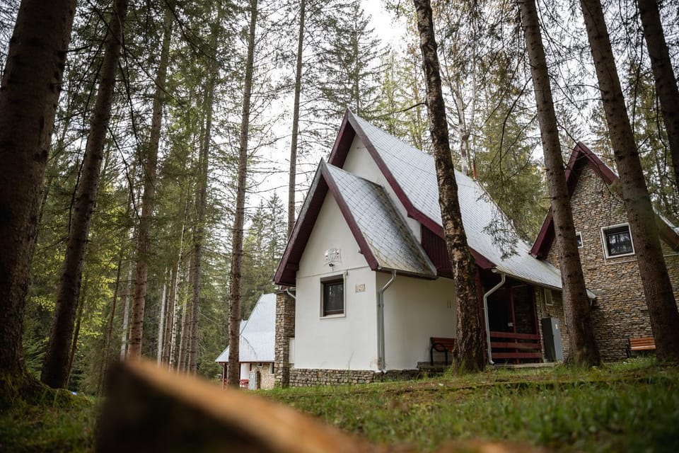 Property building, Natural landscape