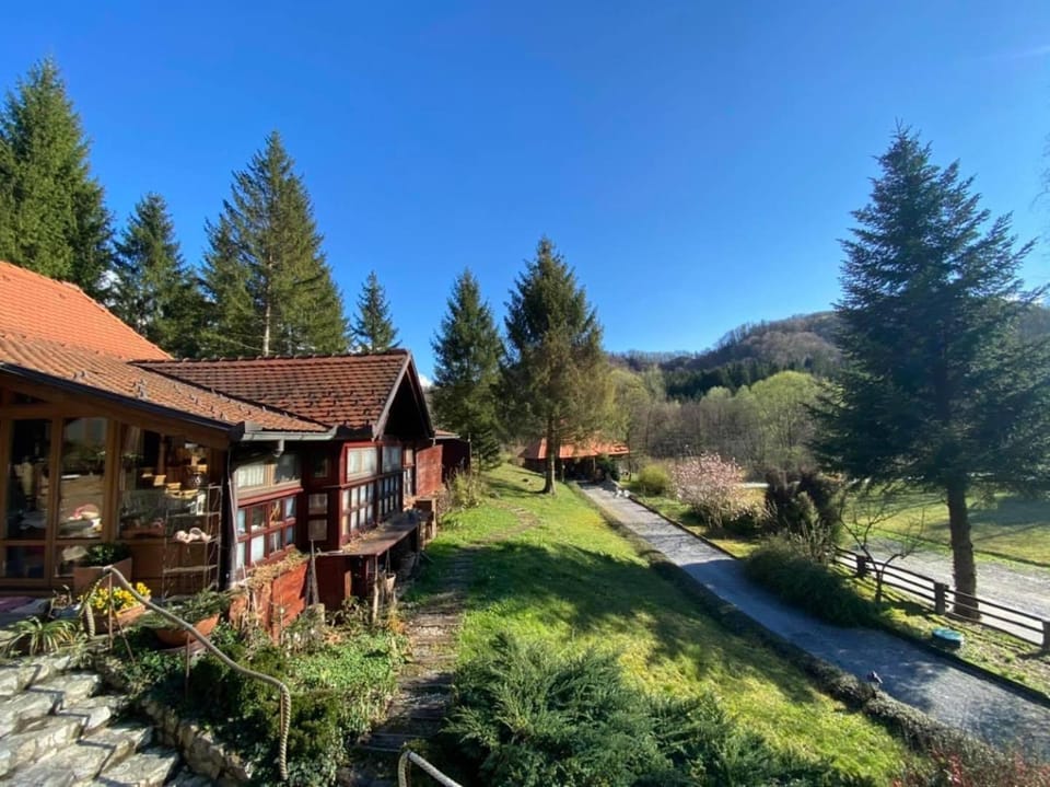 Off site, Garden