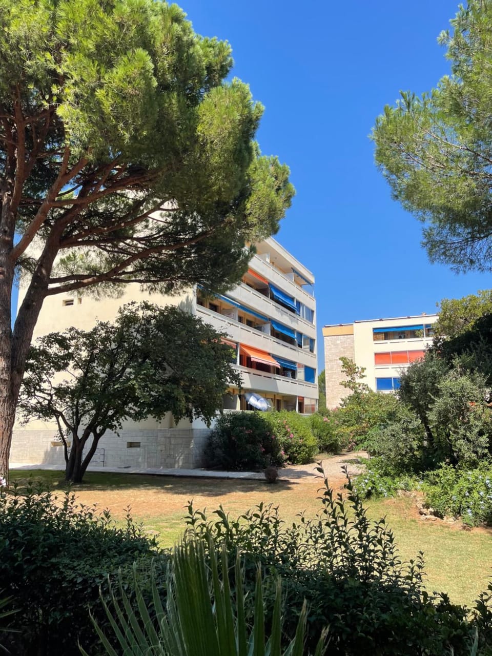 Frejus Plage - 50m2 au calme, tout à pieds Apartment in Fréjus