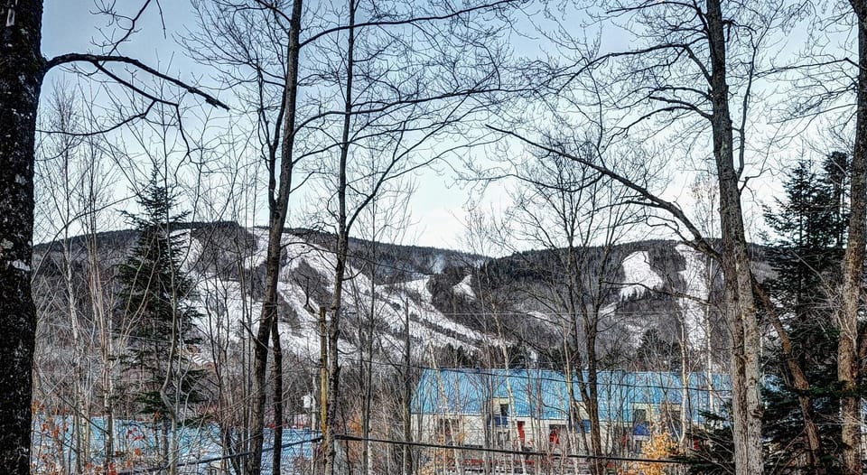 76.5 Chemin de la Perdrix Chalet in Quebec