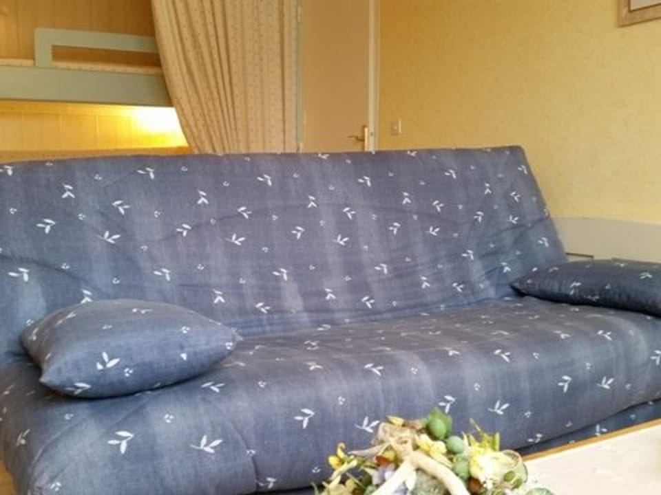Studio ski, 4 pers, parking gratuit, proche pistes - FR-1-602-97 Apartment in Nouvelle-Aquitaine