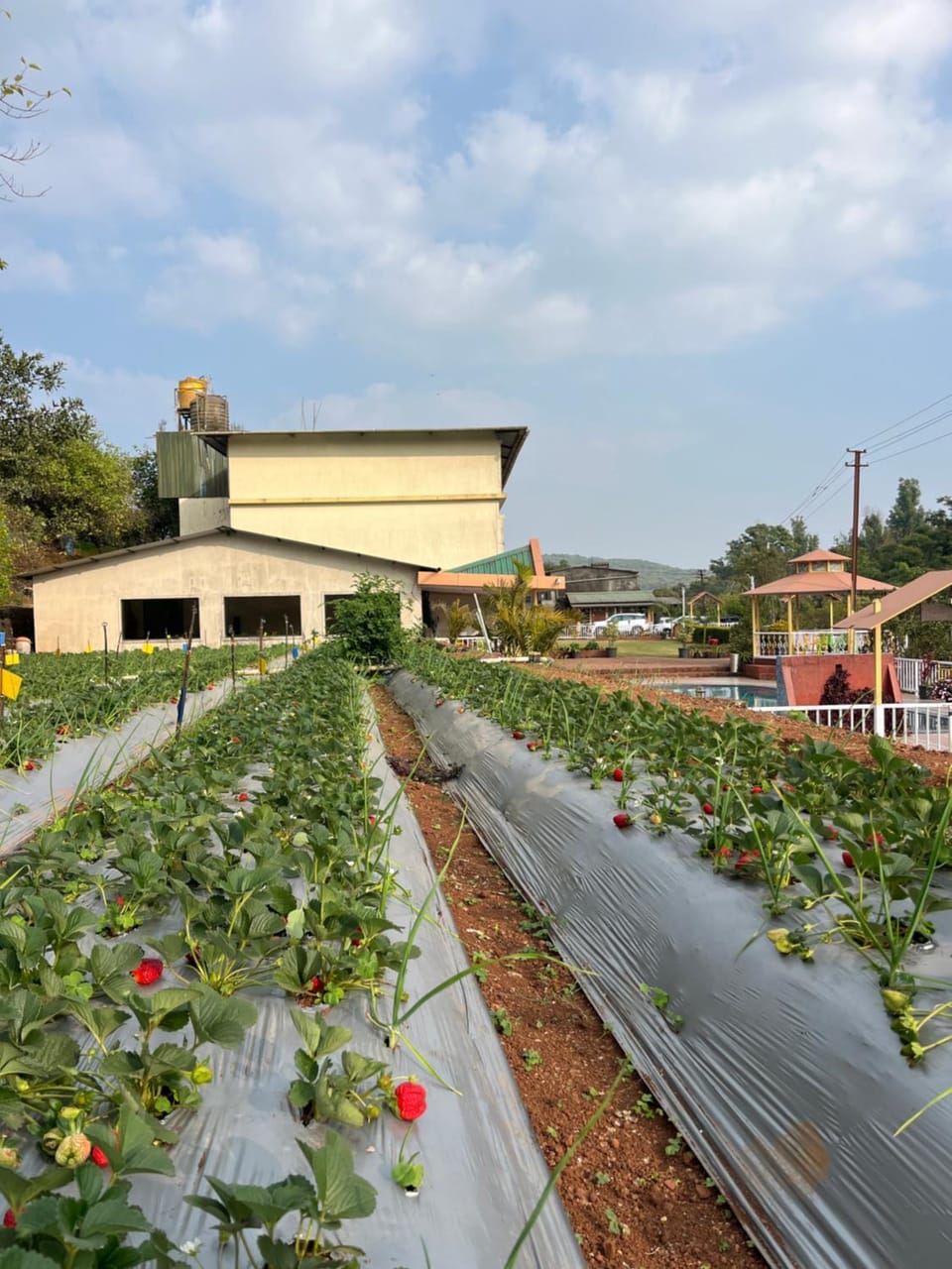 Garden, Garden view
